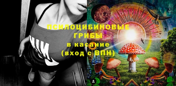 гашик Алексеевка