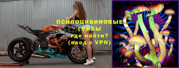 ПСИЛОЦИБИНОВЫЕ ГРИБЫ Абинск