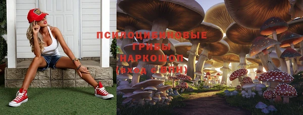 ПСИЛОЦИБИНОВЫЕ ГРИБЫ Абинск