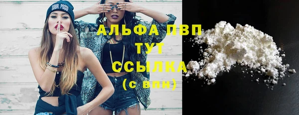 гашик Алексеевка